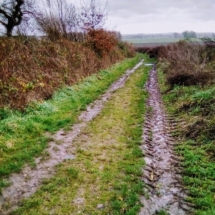 IMG_20181209_113423 IMG_20181209_113423