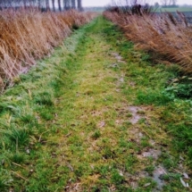 IMG_20181209_113555 IMG_20181209_113555