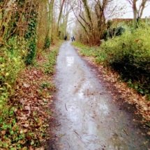 IMG_20181209_114207 IMG_20181209_114207