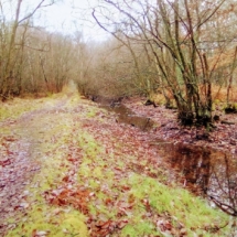 Single bonus des Sorcières en début de rando IMG_20181224_095405