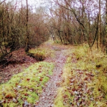 IMG_20181224_095415 IMG_20181224_095415