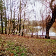 Plan d'eau de Leforest IMG_20181224_104023