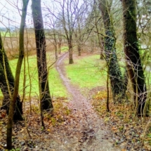 Quelques petites bosses bien sympas IMG_20181224_104308