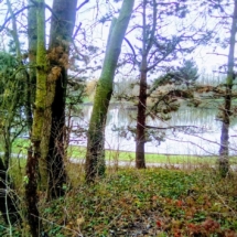 IMG_20181224_104313 IMG_20181224_104313