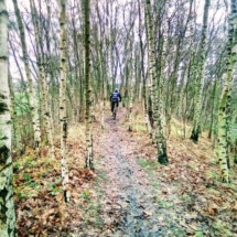 Passage entre les bouleaux IMG_20181224_104505