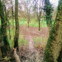 IMG_20181224_104743 IMG_20181224_104743