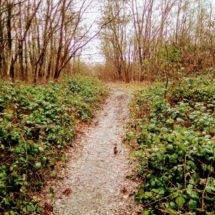 IMG_20181224_105058 IMG_20181224_105058