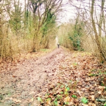 IMG_20181224_110719 IMG_20181224_110719