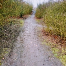 IMG_20181224_112017 IMG_20181224_112017