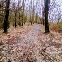 IMG_20181224_112237 IMG_20181224_112237