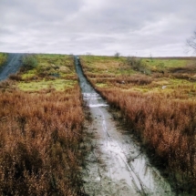 On grimpe et on descend IMG_20181224_112530