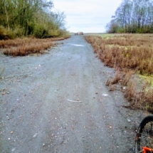 IMG_20181224_112618 IMG_20181224_112618