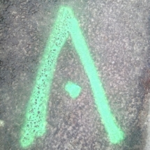 IMG_20190106_122307 IMG_20190106_122307