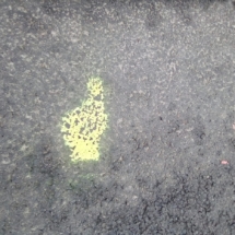 IMG_20190106_122344 IMG_20190106_122344