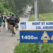 43_Col_Jubaru_Dos 43_Col_Jubaru_Dos