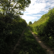 60019511_2448725165151978_1362635429001560064_o 60019511_2448725165151978_1362635429001560064_o