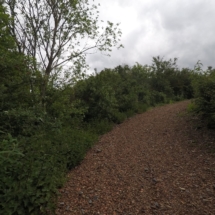 60039544_2448727861818375_4695104612712054784_o 60039544_2448727861818375_4695104612712054784_o