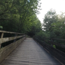 60052591_2448724408485387_8284796046295433216_o 60052591_2448724408485387_8284796046295433216_o