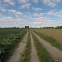 60187493_2448728118485016_7151219332087808000_o 60187493_2448728118485016_7151219332087808000_o