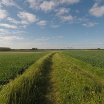 60256443_2448726068485221_7152230320144646144_o 60256443_2448726068485221_7152230320144646144_o