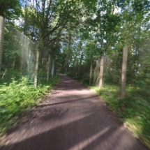 60337657_2448724558485372_4847054242042609664_o 60337657_2448724558485372_4847054242042609664_o