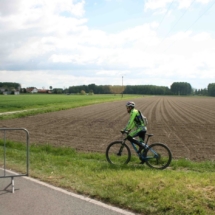 DLys2019-R1-vtt-0117 DLys2019-R1-vtt-0117