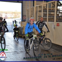 DSC_1658 (Copier) (Copier) DSC_1658 (Copier) (Copier)