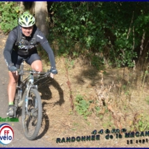 DSC_2267 (Copier) (Copier) DSC_2267 (Copier) (Copier)