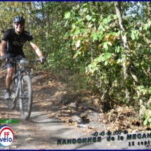 DSC_2782 (Copier) (Copier) DSC_2782 (Copier) (Copier)