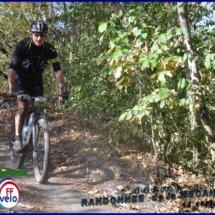 DSC_2803 (Copier) (Copier) DSC_2803 (Copier) (Copier)