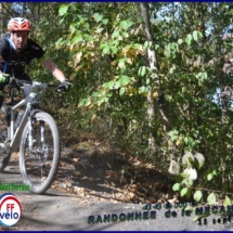 DSC_2866 (Copier) (Copier) DSC_2866 (Copier) (Copier)