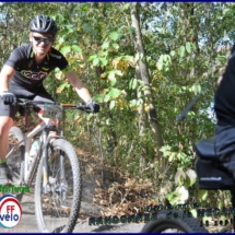 DSC_3033 (Copier) (Copier) DSC_3033 (Copier) (Copier)