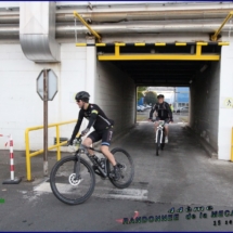 IMG_4843 (Copier) (Copier) IMG_4843 (Copier) (Copier)