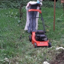 75223636_2594289237281131_5568874524641853440_n 75223636_2594289237281131_5568874524641853440_n