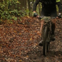 75247467_743736632756383_2022659992728895488_n 75247467_743736632756383_2022659992728895488_n