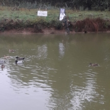 75266126_2594437423932979_938825854576754688_n 75266126_2594437423932979_938825854576754688_n