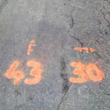 IMG_20200112_124405 IMG_20200112_124405