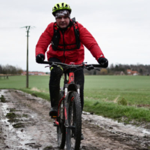 renards-des-sables-flines-lez-raches-2020-017 renards-des-sables-flines-lez-raches-2020-017