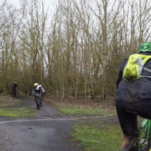 renards-des-sables-flines-lez-raches-2020-066-10 renards-des-sables-flines-lez-raches-2020-066-10