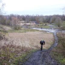 renards-des-sables-flines-lez-raches-2020-066-11 renards-des-sables-flines-lez-raches-2020-066-11