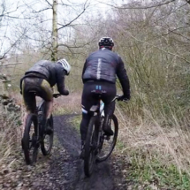 renards-des-sables-flines-lez-raches-2020-066-17 renards-des-sables-flines-lez-raches-2020-066-17