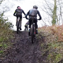 renards-des-sables-flines-lez-raches-2020-066-19 renards-des-sables-flines-lez-raches-2020-066-19