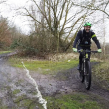 renards-des-sables-flines-lez-raches-2020-066-26 renards-des-sables-flines-lez-raches-2020-066-26