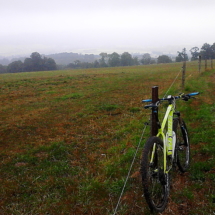 IMG_20150812_082353 IMG_20150812_082353