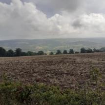 117750242_2908873315884381_1711687661189236313_n 117750242_2908873315884381_1711687661189236313_n