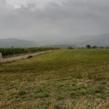 117773290_2908871979217848_7924500081013296171_n 117773290_2908871979217848_7924500081013296171_n