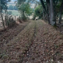 117773295_2908874192550960_1411363892027331402_n 117773295_2908874192550960_1411363892027331402_n