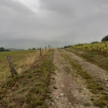 117843035_2908874355884277_2176547946995011470_n 117843035_2908874355884277_2176547946995011470_n