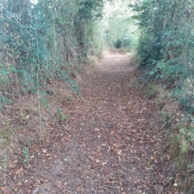 117848197_2908872829217763_1045960393445855689_n 117848197_2908872829217763_1045960393445855689_n