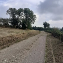 117870943_2908873065884406_5388986746169928875_n 117870943_2908873065884406_5388986746169928875_n